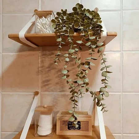 Apartment Mora Natura *